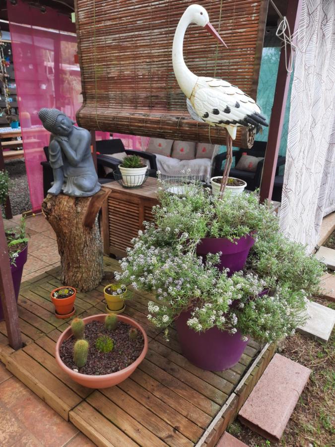 Chambres Et Table D'Hote Les Hortensias La Plaine des Cafres Eksteriør bilde