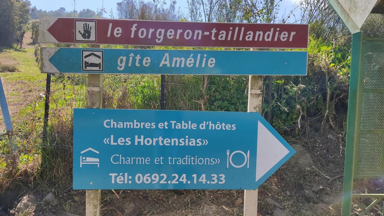 Chambres Et Table D'Hote Les Hortensias La Plaine des Cafres Eksteriør bilde